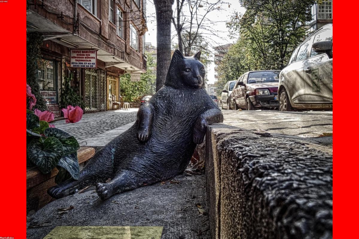 Kurumsal Alan Adı Tescili